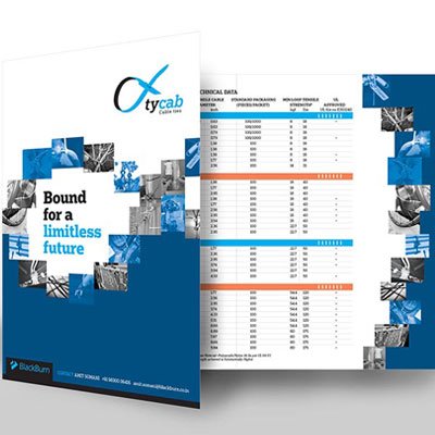 https://www.old.wysiwyg.co.in/sites/default/files/worksThumb/BlackBurn-Tycab-Brochure.jpg