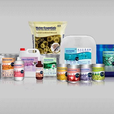 https://www.old.wysiwyg.co.in/sites/default/files/worksThumb/IFB-Agro-Nutraessentials-Packaging-Web-Brochure-POS-2023.gif